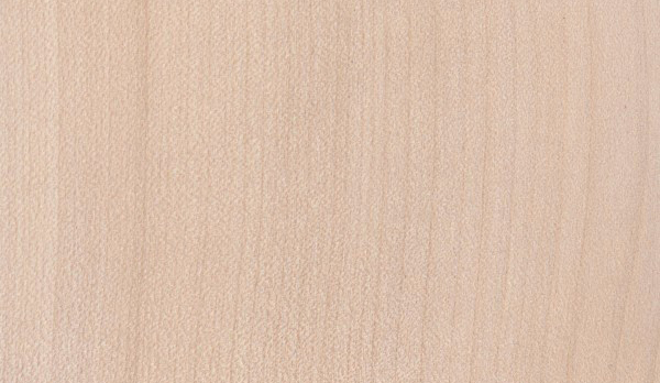 acer-pseudoplatanus-hout acer-pseudoplatanus hout